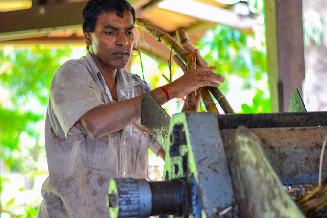 Full-Day South Tour of Mauritius, ALL INCLUSIVE Day Trip, Private SUV Car, Guide - Frequently Asked Questions