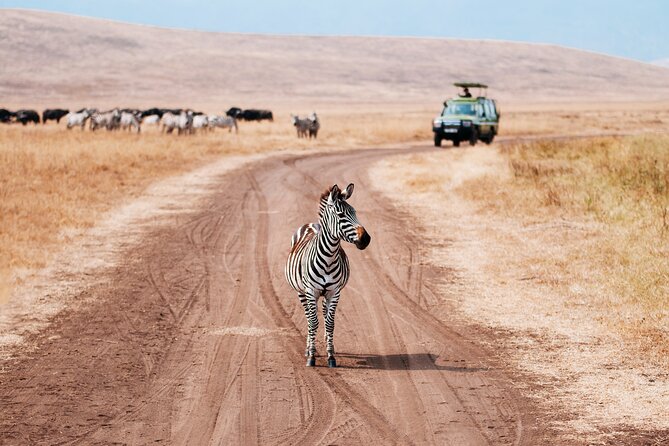 Full Day Tour in Ngorongoro Conservation Area Tanzania - Pickup Information