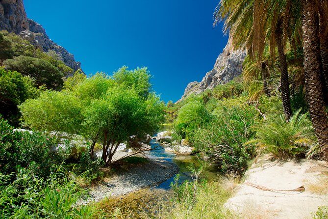 Full Day Tour in Preveli Palm Beach and Rethimno With Lunch Box - Cancellation Policy