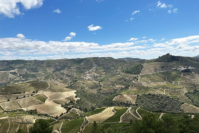 Full-Day Tour With Lunch and Wine Tastings in Portugal - Weather Considerations