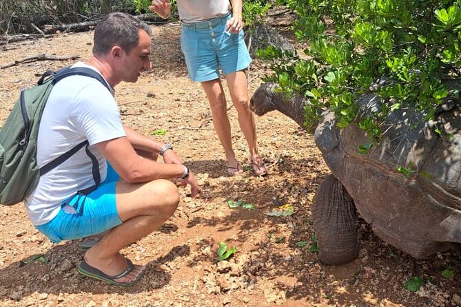 Full Day Trip Prison Island and Nakupenda Sandbank - Price and Reviews