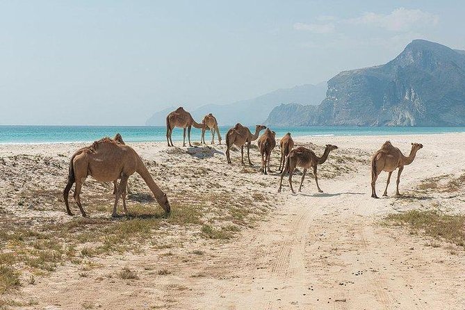Full Day West Tour of Salalah - What To Expect During the Tour