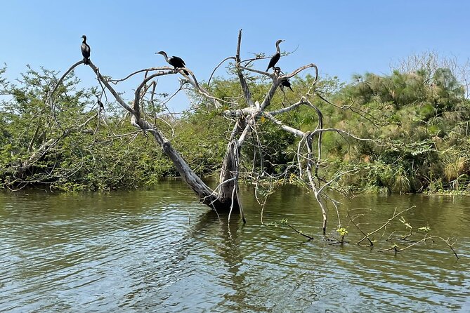 Full-Private Akagera Boat Cruise and Game Drive - Reviews and Ratings