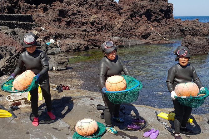 Fully Customizable Private Tour of Jeju Island - Customer Reviews