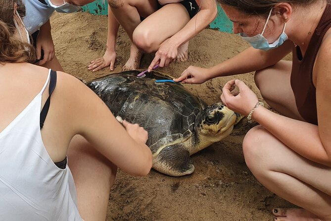 Galle Full-Day Tour - Reviews and Ratings