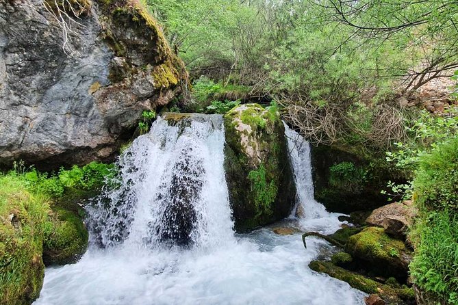 Go Rural to Lazaropole and Gari From Ohrid - Lazaropole Exploration