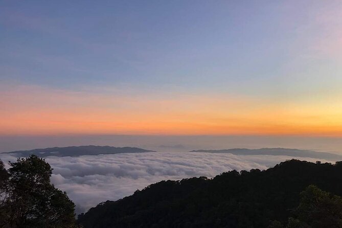 GOLDEN HAND BRIDGE and BANA HILLS -TRULY An AMAZING EPIC VENTURE - Accessibility Information