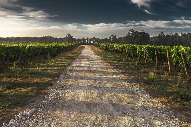 Grand Wine Tour From Catania or Taormina - Frequently Asked Questions