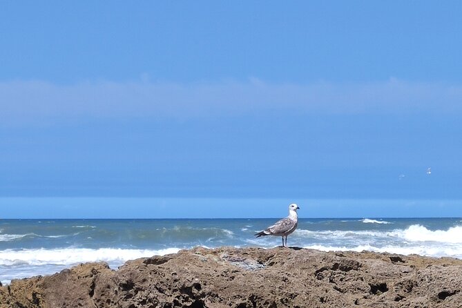 Group Day Trip From Marrakech to Essaouira - Booking Confirmation
