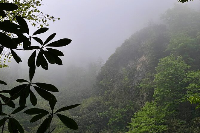 Group Hiking Tour in Mtirala National Park - Directions