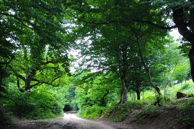 Guba Gachrash Village, Forest and Lake Chanlibel Tour From Baku - Tour Directions