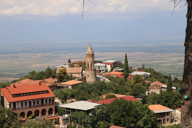 Guided Day Tour From Tbilisi Kakheti and Sighnaghi With Wine - Tour Overview