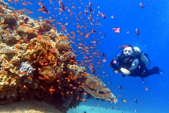 Guided Scuba Diving Adventure in Aqaba - Directions