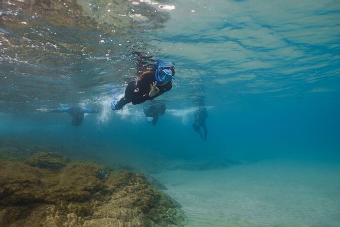 Guided Snorkeling Activity in Papagayo Beach Lanzarote - Pricing and Booking