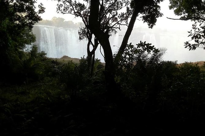 Guided Tour of the Falls - Accessibility and Fitness Level