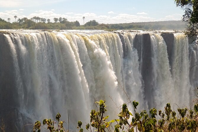 Guided Victoria Falls Tour on Both Zambia & Zimbabwean Side - The Sum Up