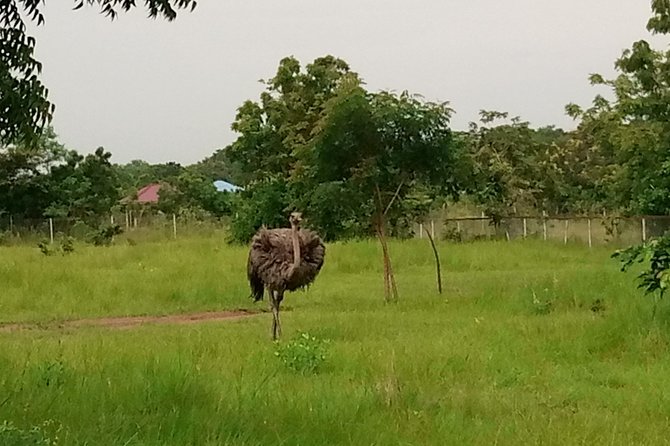 Half-day Accra Safari Tour - Cancellation and Refund Policy