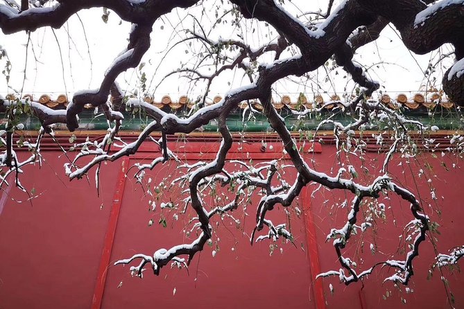 Half Day Beijing Group Tour to Tiananmen Square and Forbidden City - Tour Details