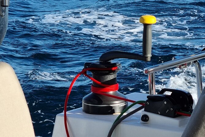Half Day Catamaran Tour in Algarve - Lagos - Operator Details