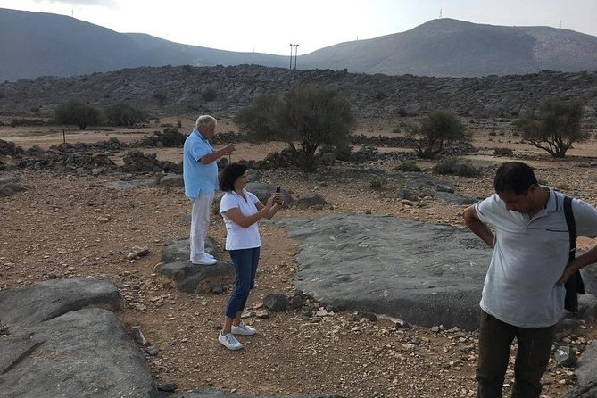 Half Day Cruise & Half Day Mountain Safari With Picnic Lunch (Shore Excursion) - How to Get There