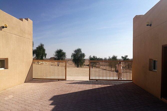 Half Day Guided Desert Tour (Sunset). - The Sum Up