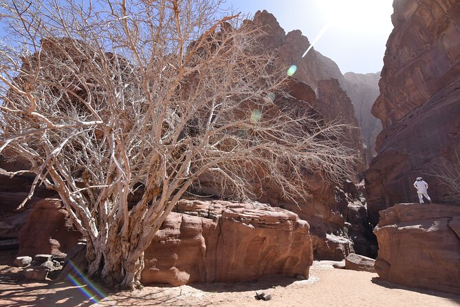 Half Day Jeep and Camel Tour No Stay - Additional Information