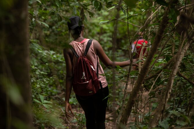 Half-Day Kayaking Odyssey on River Volta - Meeting and Pickup Details