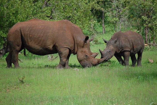Half-Day Nature Walk in Mosi-Oa-Tunya National Park From Livingstone - Customer Reviews