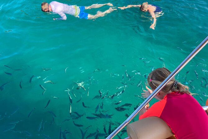 Half Day Private Boat Tour to Cala Violina - Inclusions