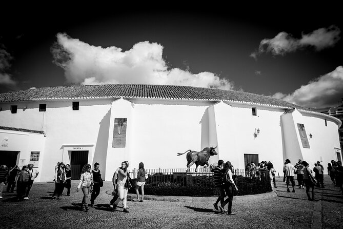 Half-Day Private Guided City Tour in Ronda - Accessibility and Services