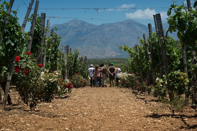 Half-Day Private Tour in Two Wineries and Archanes From Heraklion - Included Amenities