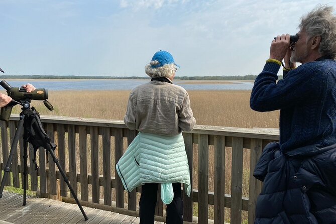 Half Day Private Walking Tour in Estonia Wilderness - Frequently Asked Questions