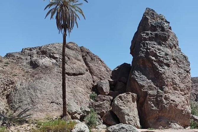 Half Day Private Walking Tour in Sidiflah Gorges - Reservation and Reviews