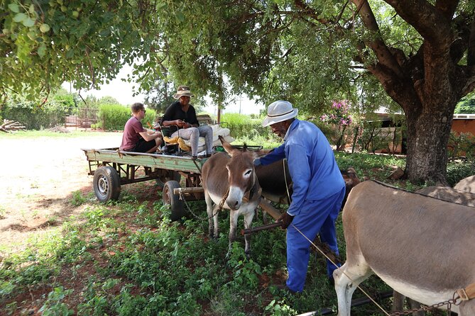 Half Day Tour From Gaborone (Manyana Village Visit) - Additional Details