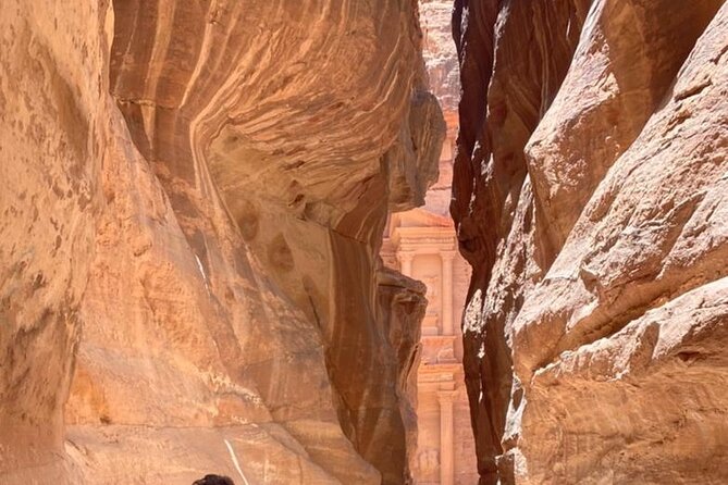 Half Day Tour to the Wonderful City of Petra - Important Information and Reviews