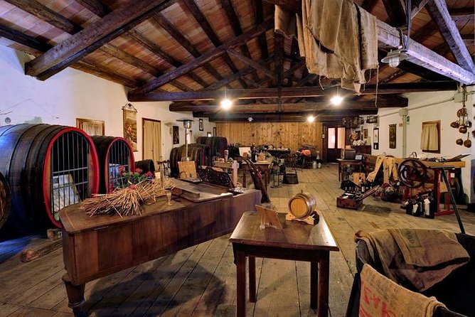 Half Day Venice Cruise Terminal Shore Excursion Wine Food Tasting Outlet Village - Important Reminders and Requirements