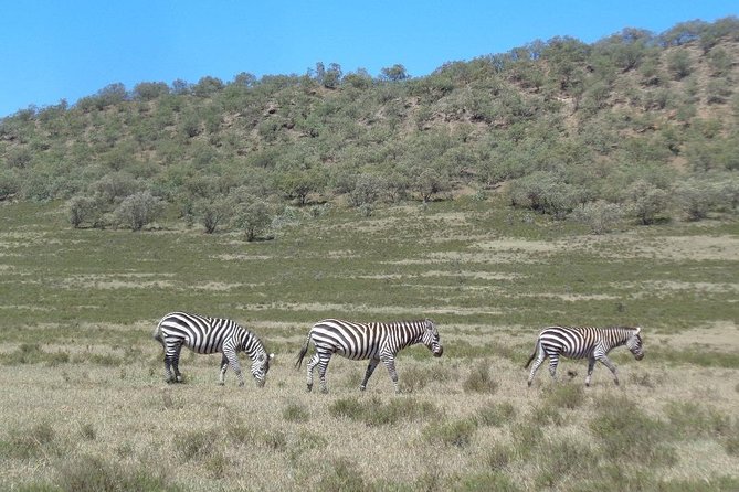Hells Gate National Park Day Trip - Meeting and Pickup