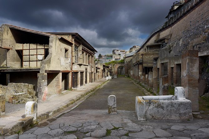 Herculaneum Ancient City (Tour + Transfer) - The Sum Up