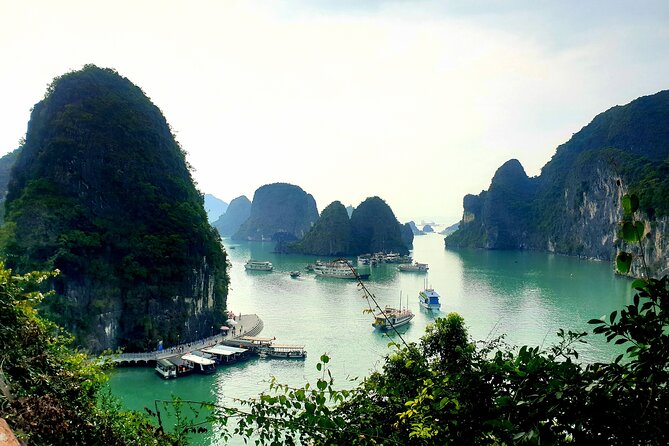 Highlight Ha Long Bay 6 Hours on Luxury Cruise - Customer Reviews and Testimonials