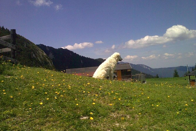 Hiking : 7 Ladders Canyon -Piatra Mare Mountain From Brasov - Safety Precautions and Recommendations