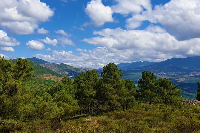 Hiking Arround Chefchaouen and Talassemtane Park With Berber Villages Visit - Pricing and Booking Details