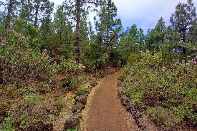 Hiking Classic Tenerife - Frequently Asked Questions