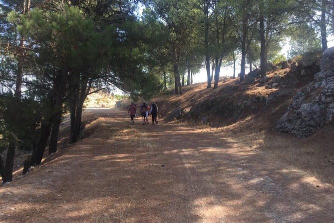 Hiking in Rif Mountains From Fes Day Trip - Group Size and Private Tour