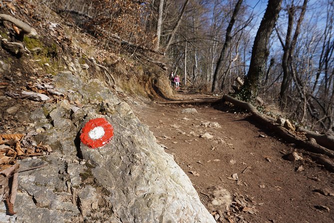 Hiking on the Edge of Ljubljana - The Sum Up
