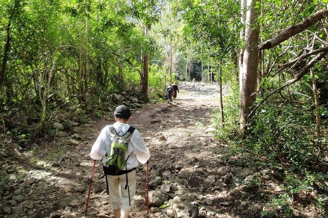 Hiking the Black River Gorges: Full-Day With Lunch and Transfer - Directions for Hotel Pick-up