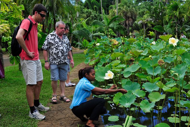 Historical Private Guided Tour, City-Sugarworld-Botanical Garden - Min.2 Persons - Additional Info