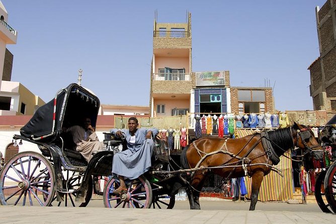 Horse Carriage Ride in Aswan - Good To Know