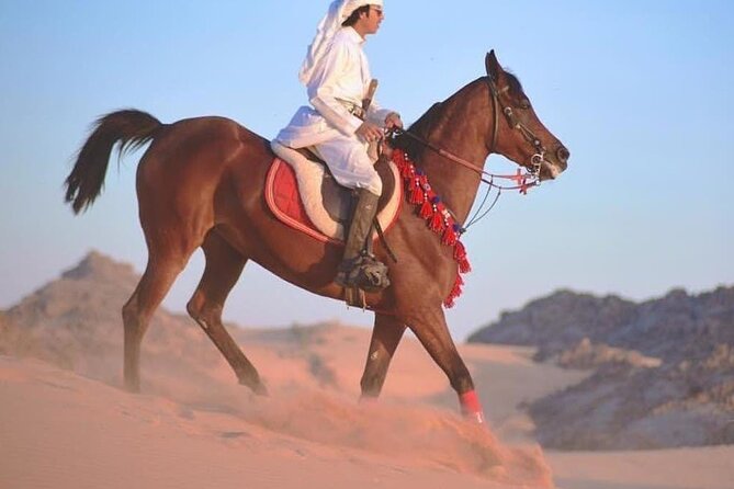 Horse Riding 1 Hour Adventure and ATV Quad Bike Safari Tour - Sharm El Sheikh - The Sum Up