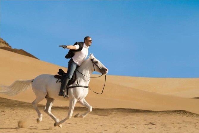 Horse Riding Two Hours at Amazing Desert in Marsa Alam With Transfer-Marsa Alam - Customer Reviews
