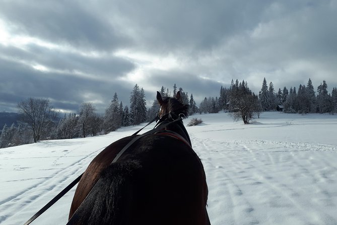 Horse Sleigh Ride in the Countyside and Thermal Pools in One Day, Private Tour - Pickup and Drop-off